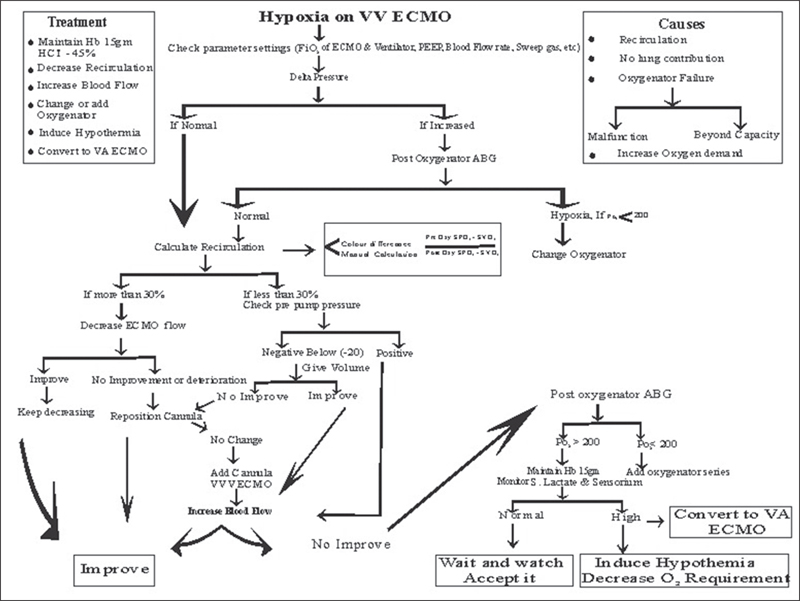 Approach to hypoxia during VV ECMO. VV ECMO, venovenous extracorporeal membrane oxygenation.