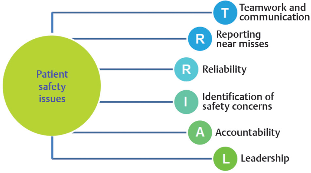 List of targeted patient safety issues. (Adapted from Morello et al.20