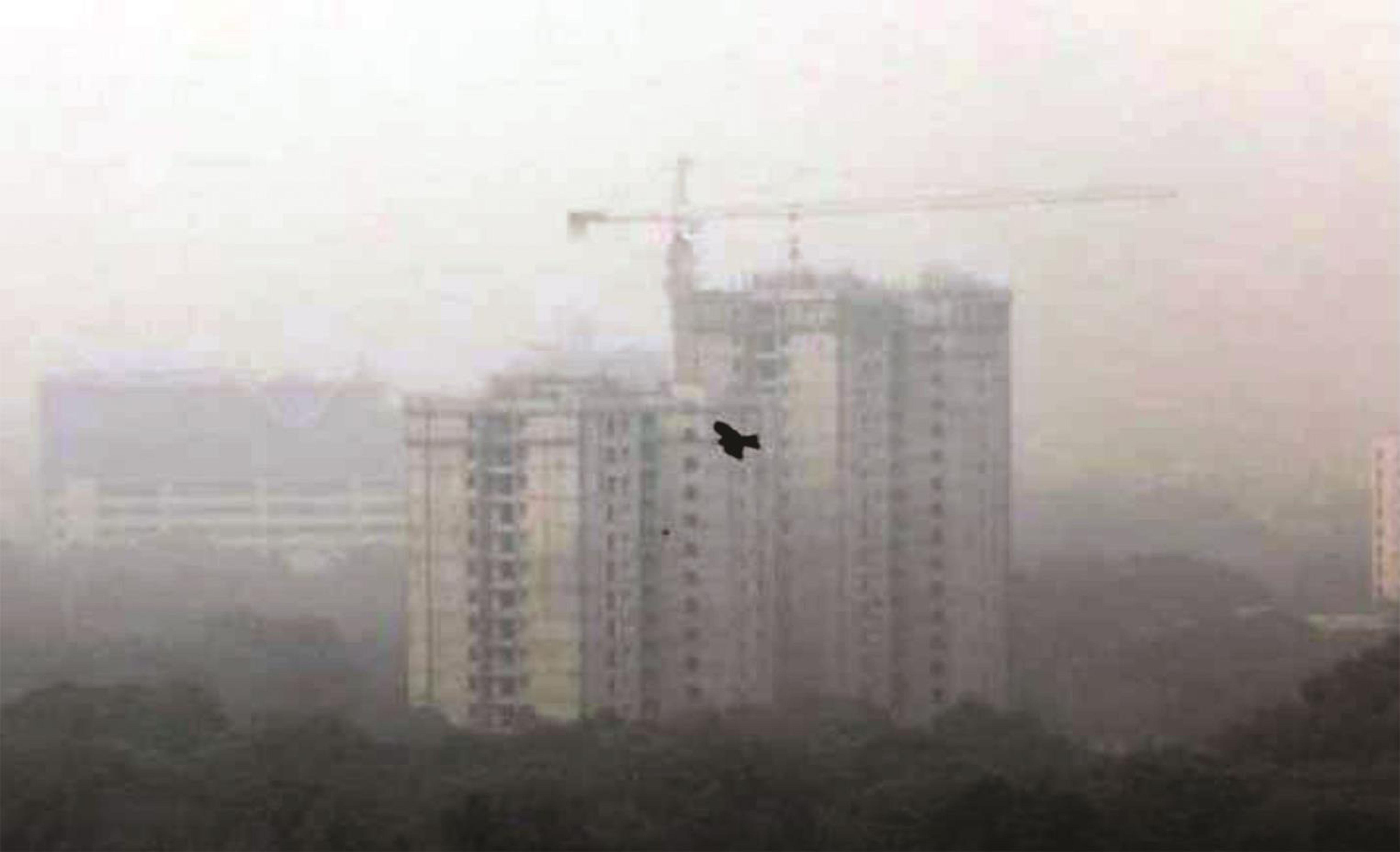 A layer of smog and dust particles has turned the air quality of New Delhi National Capital Region (NCR) plunging to the severe or hazardous category, making everyone cough, causing throat irritation, and even spreading serious health risk.