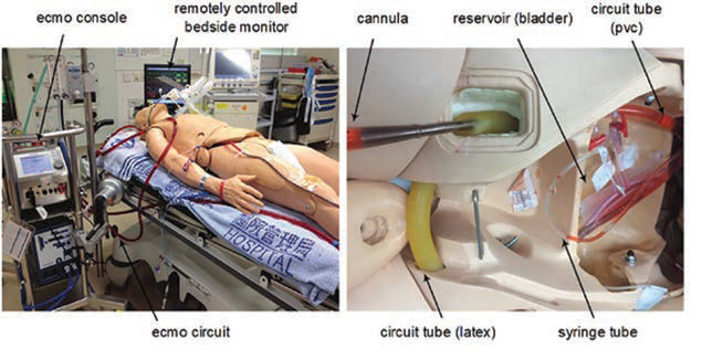 A modern extracorporeal membrane oxygenation (ECMO) simulation setup. It is currently used with modern centrifugal pump-based ECMO circuits such as the Maquet Rotaflow pump, the Maquet CardioHelp system, and Thoratec CentriMag, in addition to a plethora of basic to advanced mannequins such as the Laerdal ResuciJunior, SimMan, SimBaby, Nursing Kelly, CAE PediaSim, and Gaumard Hal.