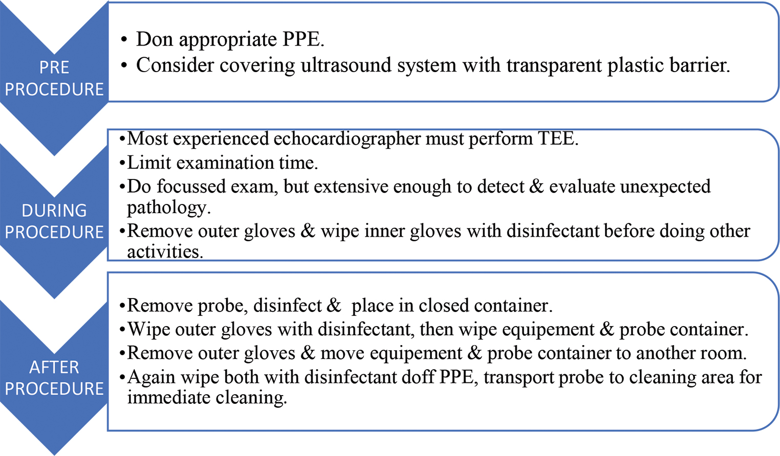 Stepwise approach to perform transesophageal echocardiography (TEE) as suggested by American Society of Echocardiography. PPE, personal protective equipment.