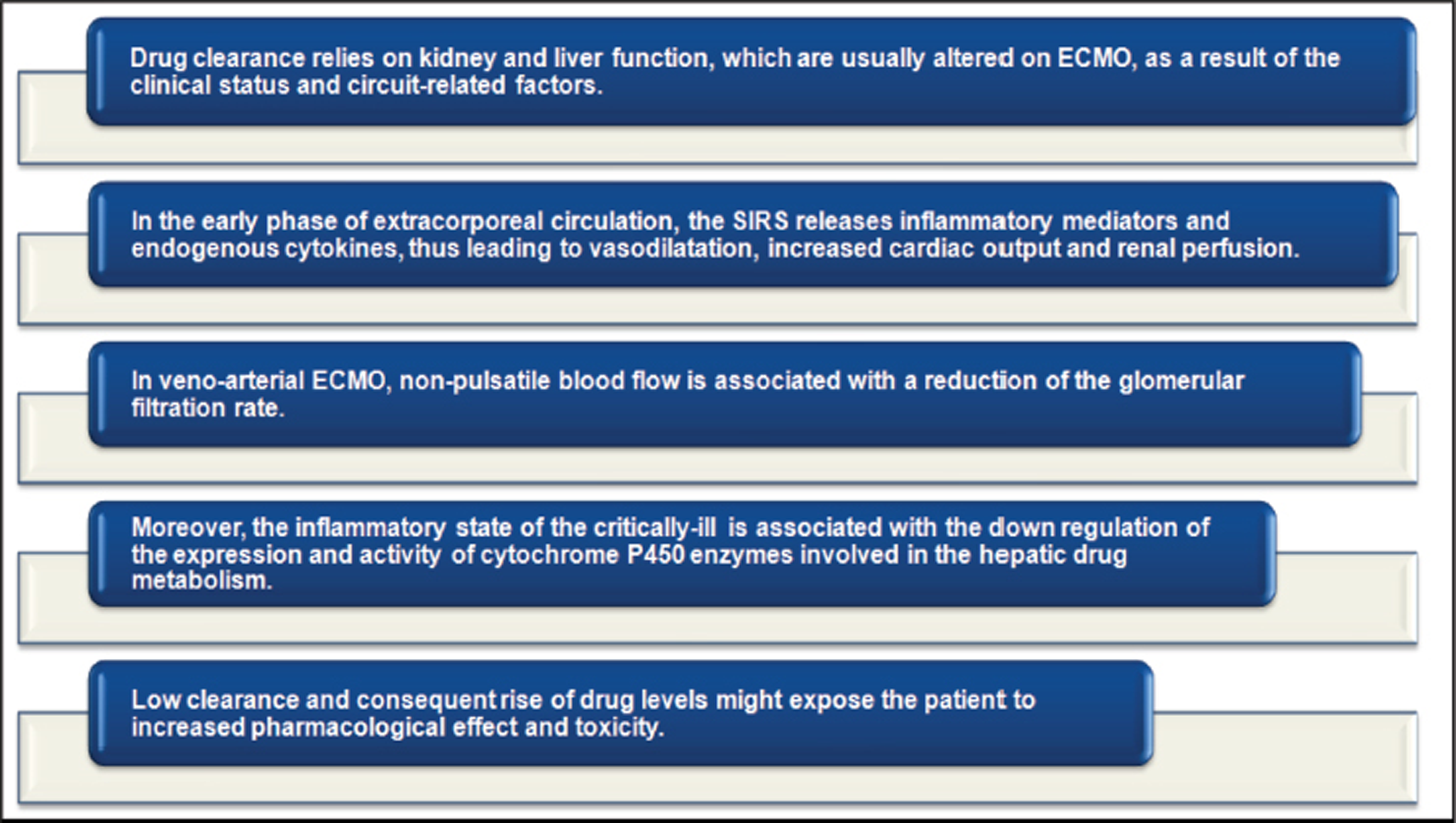 ECMO-induced clearance variability 17