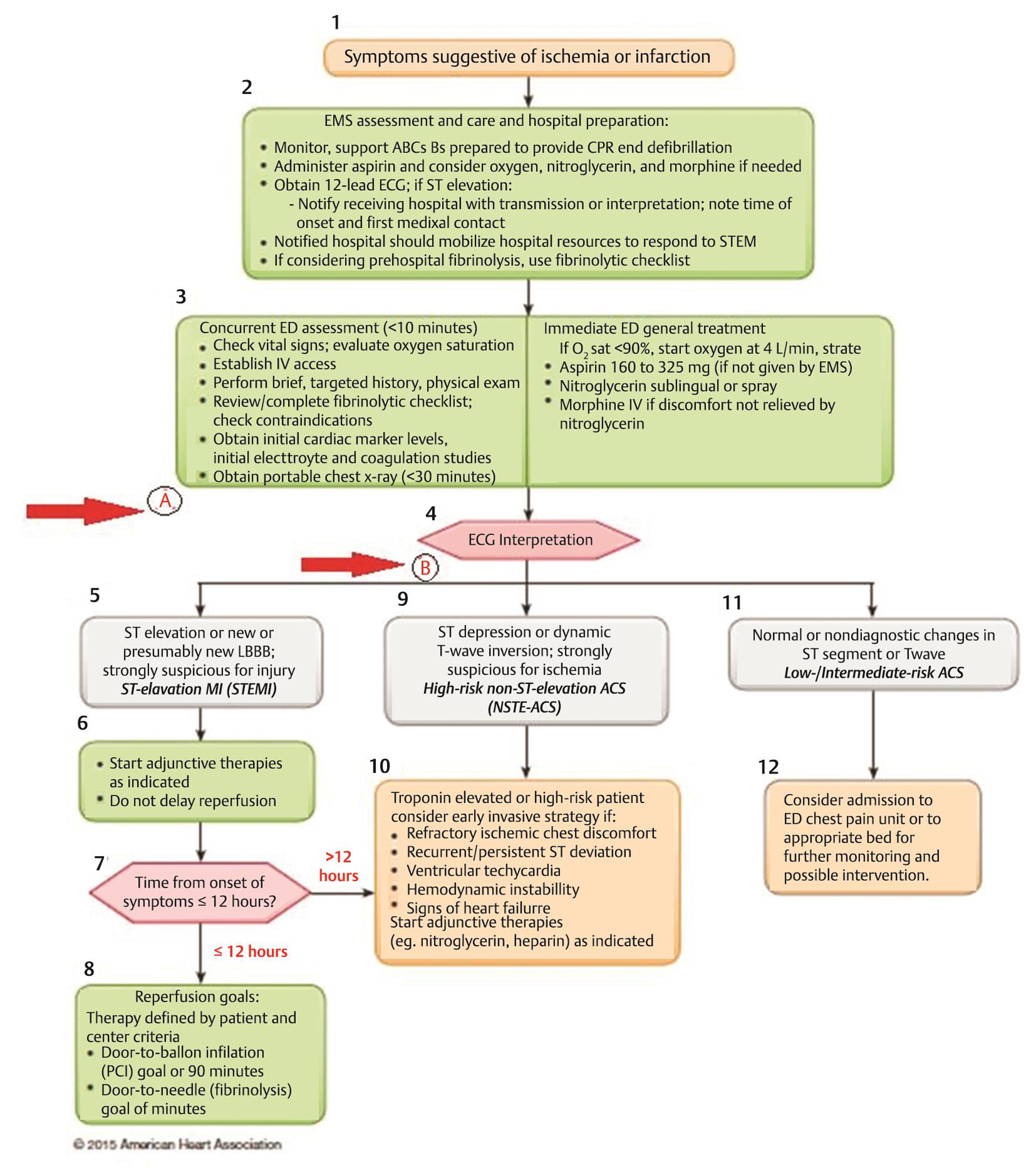 Acute coronary syndromes algorithm 2015 update. Arrows indicate the time points of bed-side echocardiography.