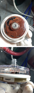 Blood in the backplate area of the centrifugal blood pump impairing magnetic coupling (a); clot formation along the bearing column (arrow, b)