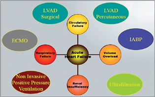 Mechanical assist devices in heart failure patients. (Adapted with permission and courtesy to Jaypee Publishers, New Delhi, Manual of ECMO in ICU 2018, 2nd ed.) ECMO, extracorporeal membrane oxygenation; IABP, intra-aortic balloon pump; LVAD, left ventricular assist device.