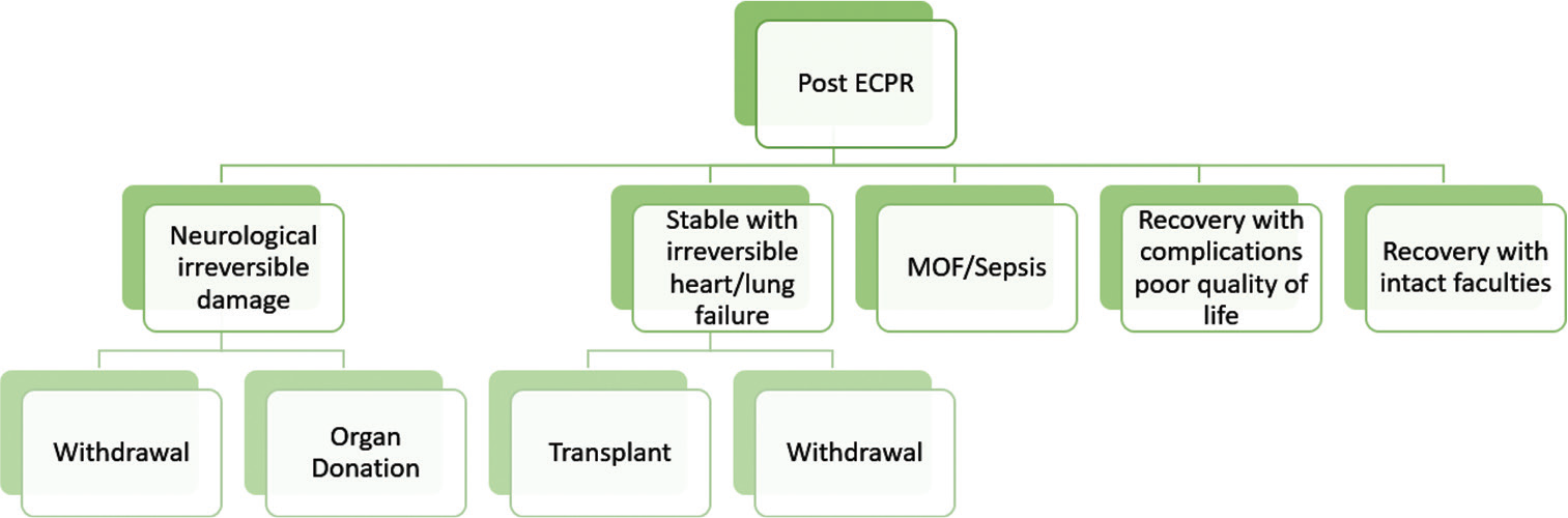 ECPR and organ donation. ECPR: Extracorporeal cardiopulmonary resuscitation.