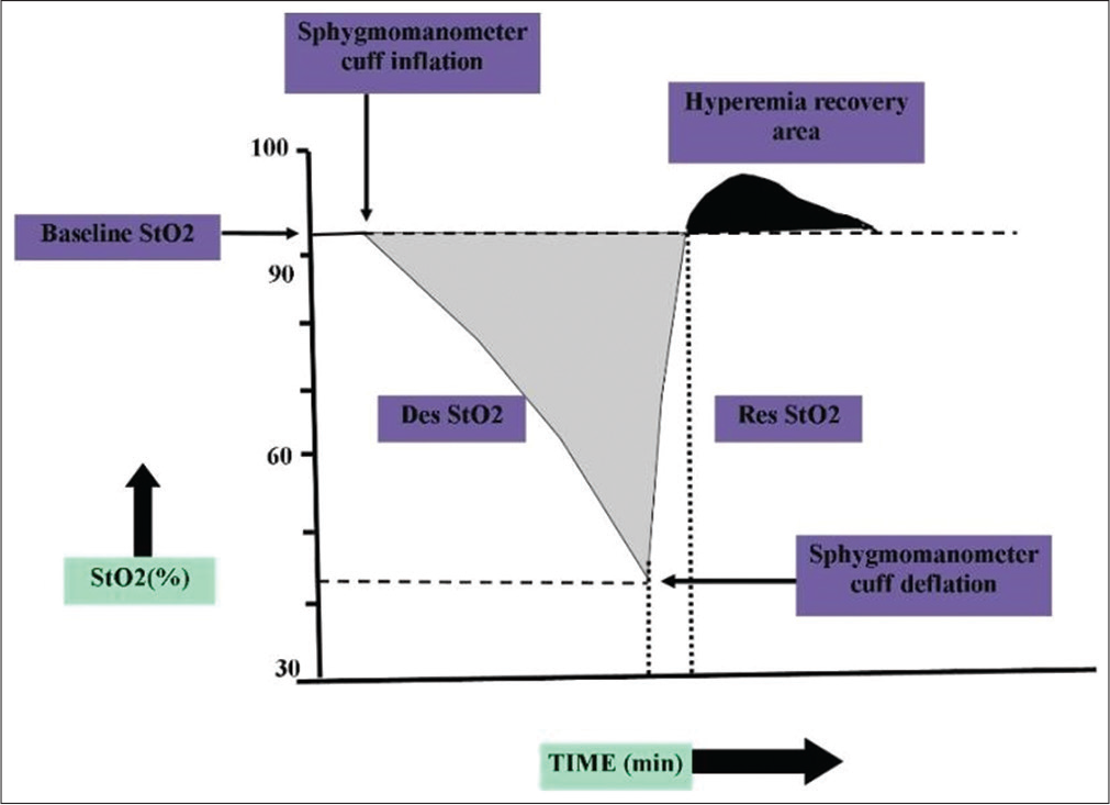 Response to tissue oxygen saturation during a vascular occlusion test, StO2: Tissue oxygen saturation, Des StO2: StO2 desaturation slope, Res StO2: StO2 resaturation slope.