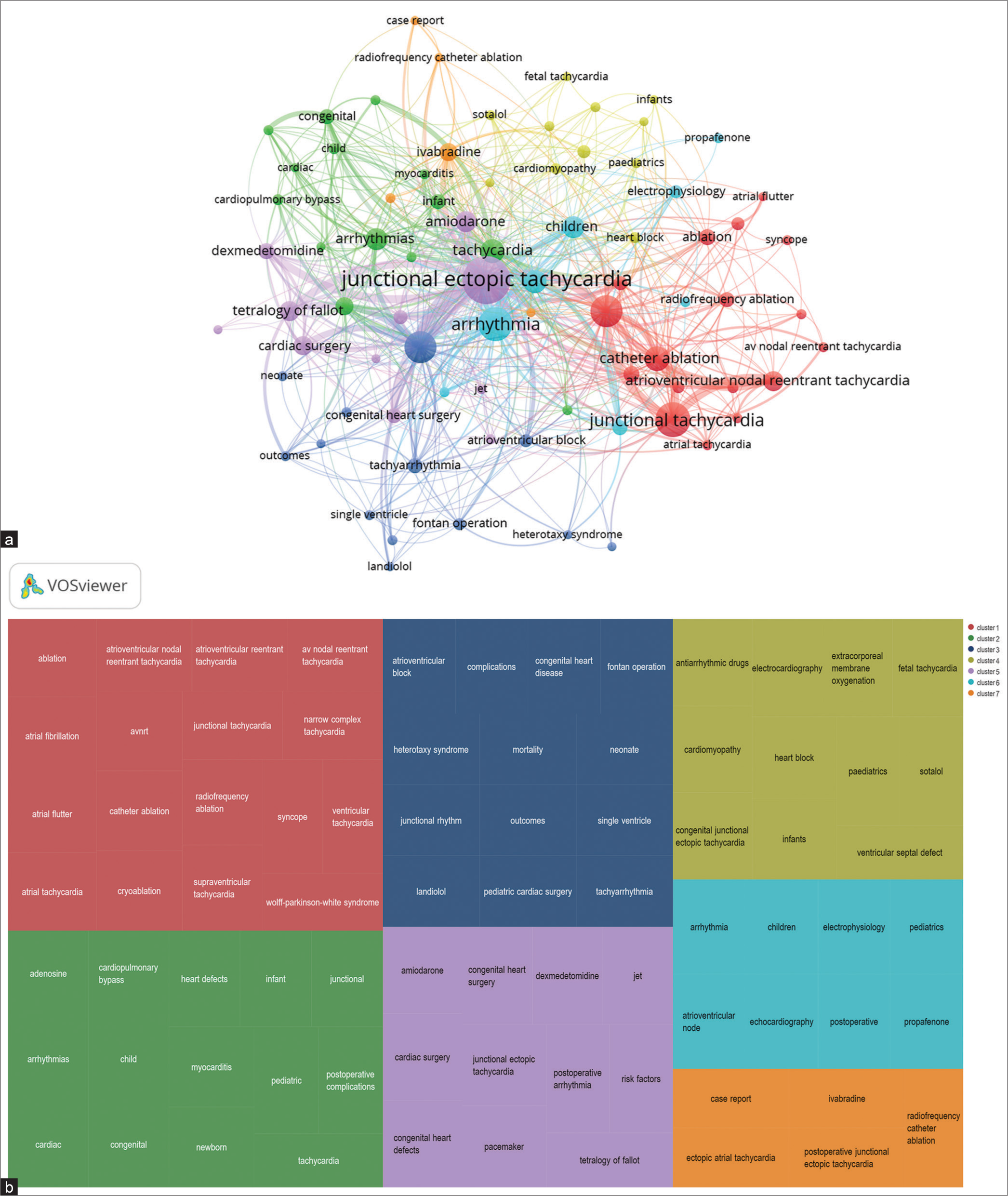 (a) Network visualization analysis (weighted-to-co-occurrences) of the selected author keywords from Scopus search. (b) Scimago Graphica representation of individual author keyword clusters (in no specific order of frequency) and color-coded to match network visualization.