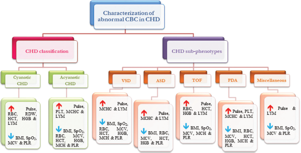 An overview of hematological profile of congenital heart disease patients. CBC: Complete blood count, ASD: Atrial septal defect, BMI: Body mass index, BPM: Beats per minute, HCT: Hematocrit, HGB: Hemoglobin, LYM: Lymphocyte, Misc: Miscellaneous, MCV: Mean corpuscular volume, MCH: Mean corpuscular hemoglobin, MCHC: Mean corpuscular hemoglobin concentration, PDA: Patent ductus arteriosus, PLT: Platelet, PLR: Platelet-to-lymphocyte ratio, RBC: Red blood cell, RDW: Red cell distribution width, TOF: Tetralogy of Fallot, VSD: Ventricular septal defect, CHD: Congenital heart disease, SpO2: Oxygen saturation